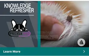 Precieux Pets Shop/Kennel
