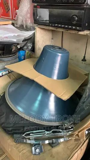 Quality Megaphone for Sale