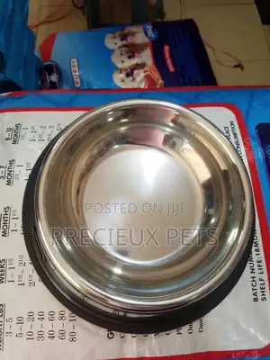 Small Size Puppy Feeding Steel Bowl