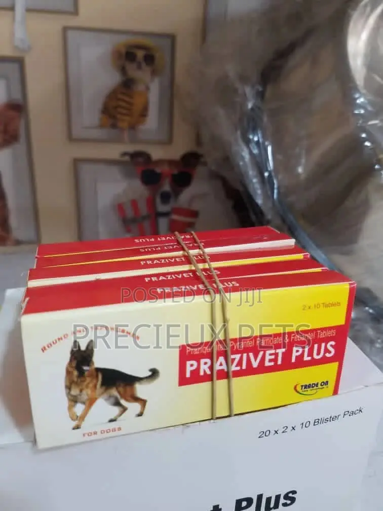 PRAZIVET DEWORMER For Cats And Dogs