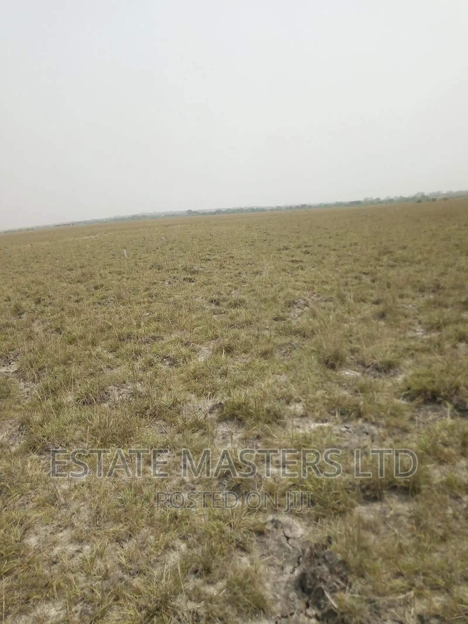 Already Registered Plots Available at Tsopoli New Airport