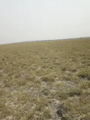 Already Registered Plots Available at Tsopoli New Airport
