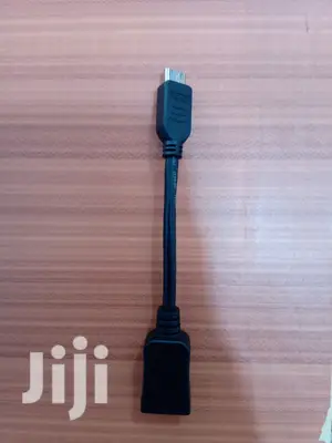 Mini HDMI to Hdmi Adapter