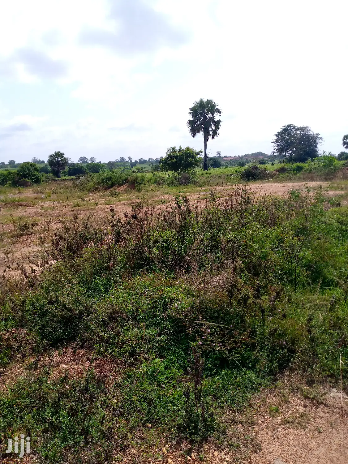 Lands for Sale at Afienya