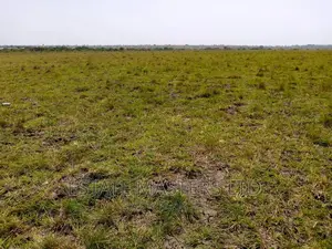 Half Plot Within A Gated Community
