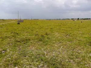 70*100 Plot