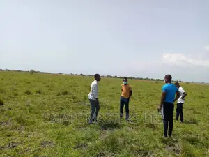 70*100 Plot