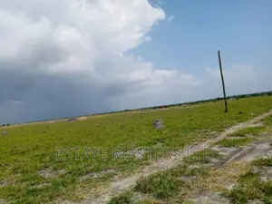 70*100 Plot