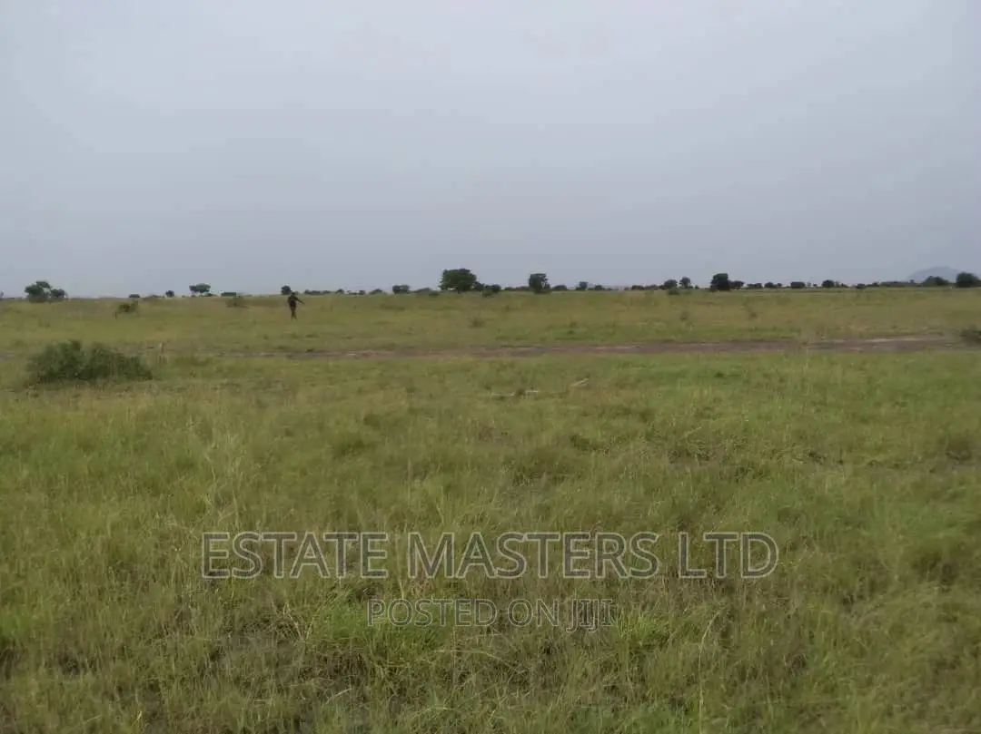 Own Land Void of Litigation- Promo Sales