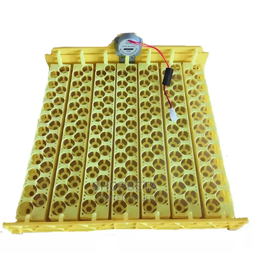 Best Egg Incubator