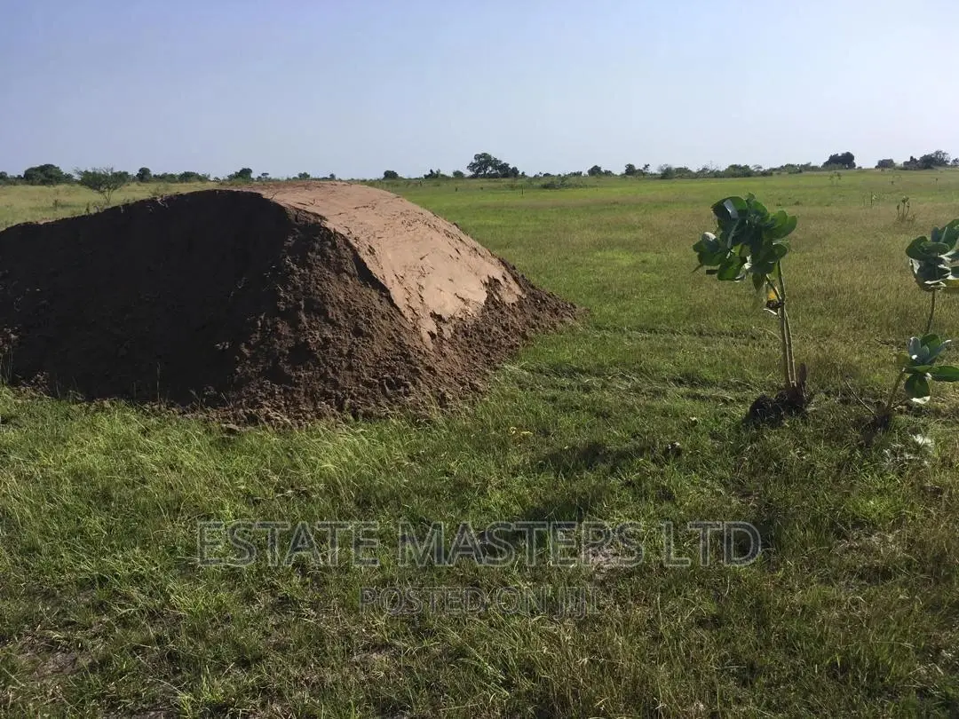 Land Price Reduced Drastically at Tsopoli