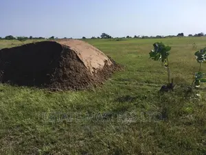 Land Price Reduced Drastically at Tsopoli