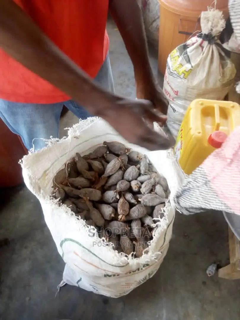 Fresh And Dry Alligator Pepper