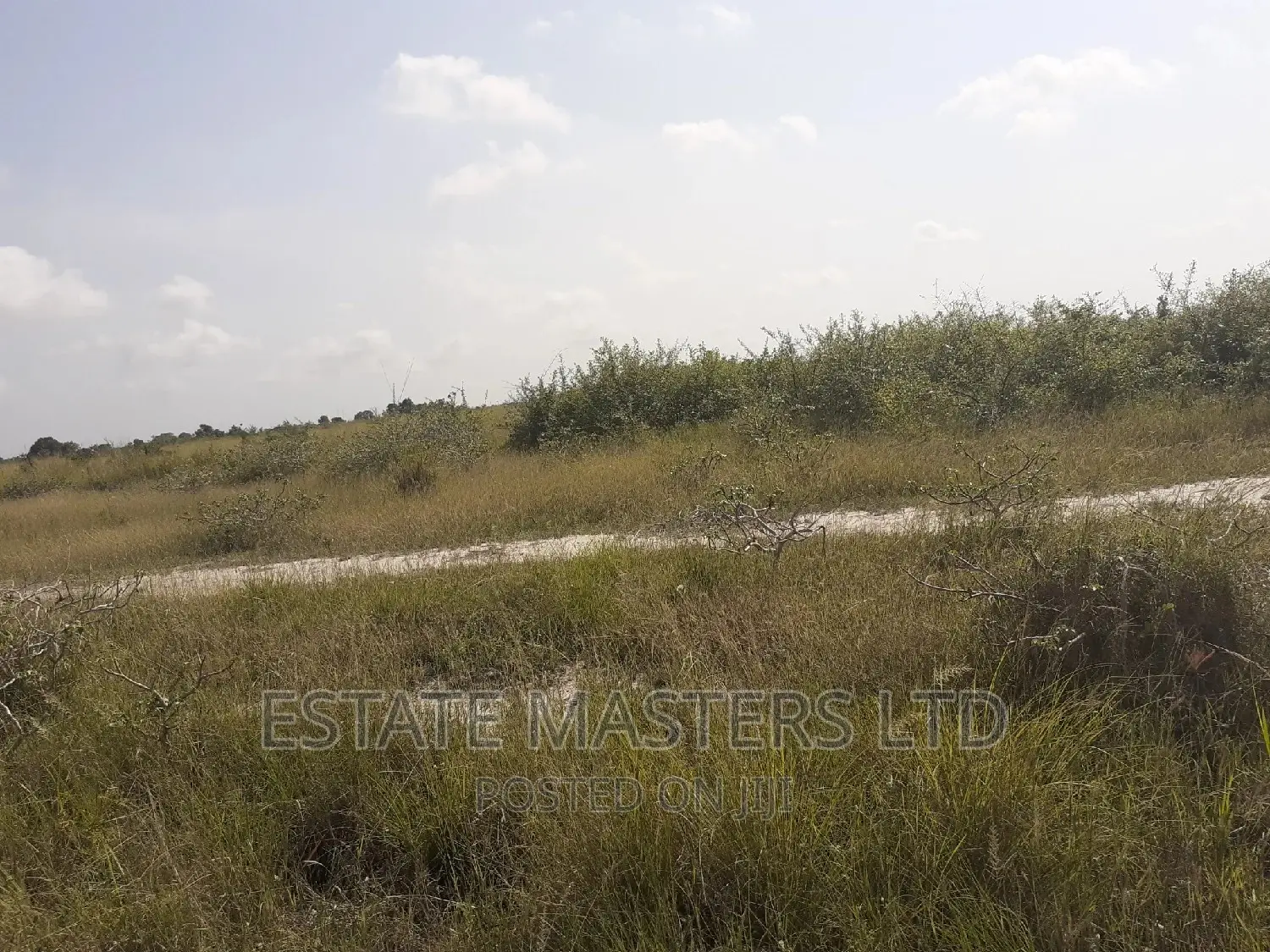 Rush Now for Reduced Sales on Land