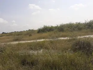 Rush Now for Reduced Sales on Land