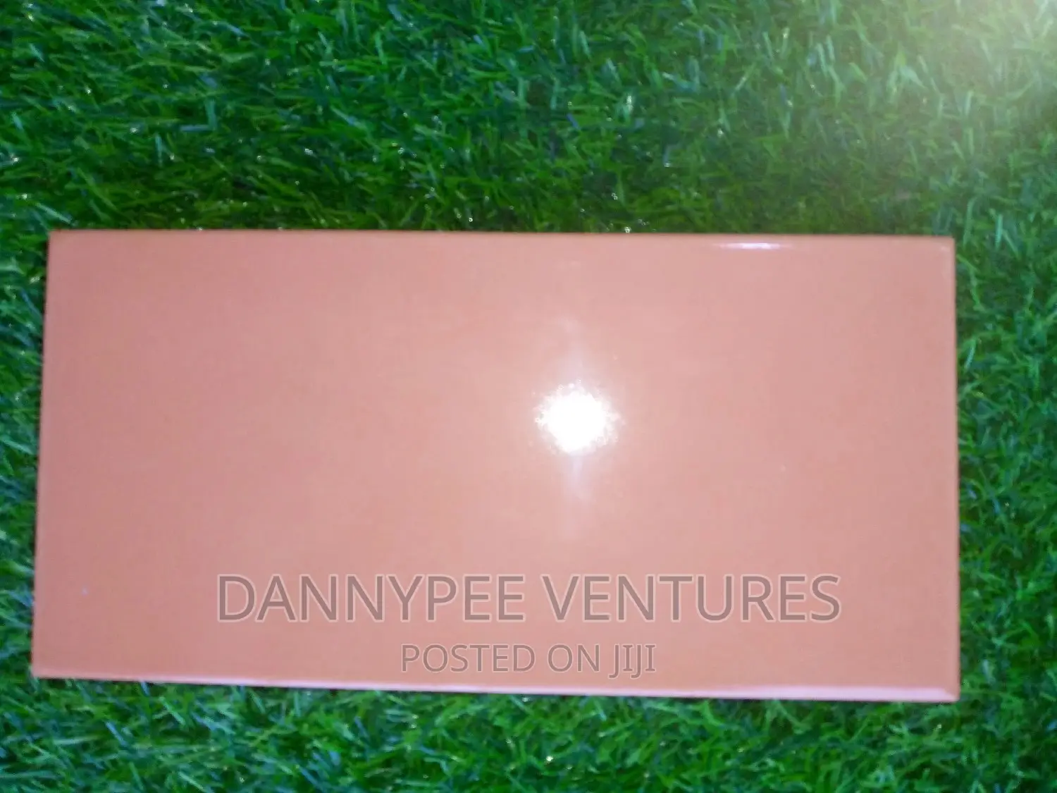 Swimming Pool Tiles