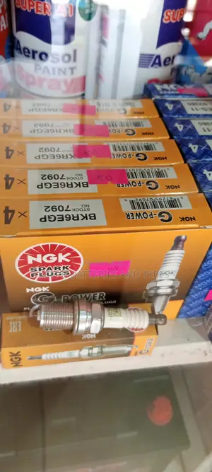 NGK Spark Plugs ( 7092 BKR6EGP ) - 16" SHORT